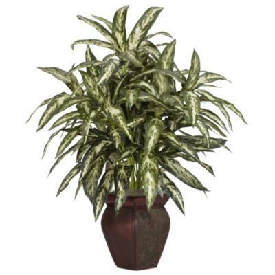 Aglaonema with Decorative Vase Silk Plant