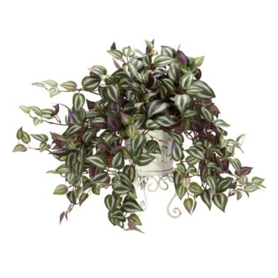 Wandering Jew with Metal Planter Silk Plant