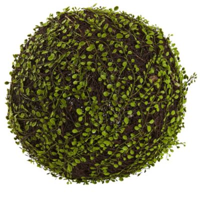 15-Inch Round Mohlenbechia Ball