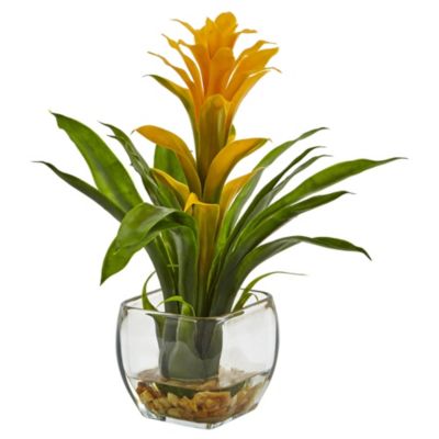 Bromeliad with Glass Vase Arrangement