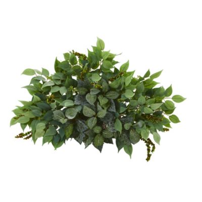 20-Inch Mixed Ficus and Fittonia Artificial Ledge Plant