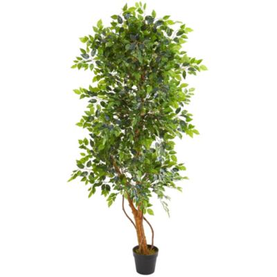 6-Foot Elegant Ficus Artificial Tree