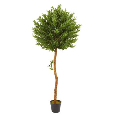 5.5-Foot Olive Topiary Artificial Tree UV Resistant (Indoor/Outdoor)