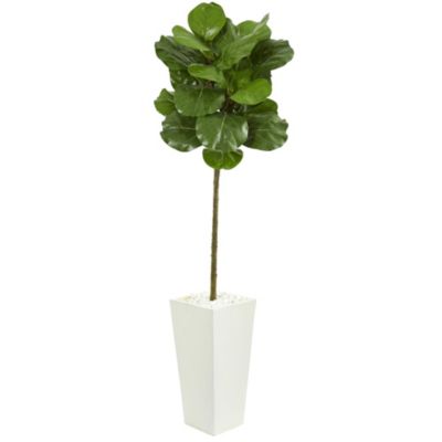 5.5-Foot Fiddle Leaf Artificial Tree in White Tower Planter