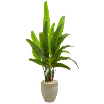 64-Inch Travelers Palm Artificial Tree in Sand Colored Planter