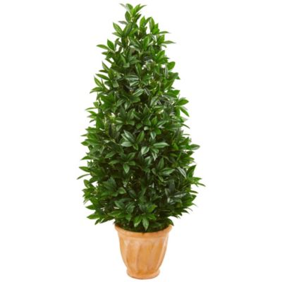 4.5-Foot Bay Leaf Cone Topiary Artificial Tree in Terra Cotta Planter UV Resistant (Indoor/Outdoor)