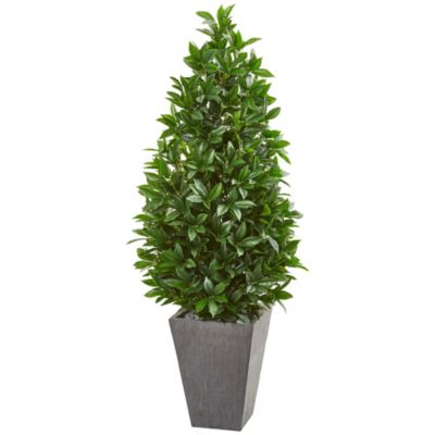 57-Inch Bay Leaf Cone Topiary Tree in Slate Planter UV Resistant (Indoor/Outdoor)