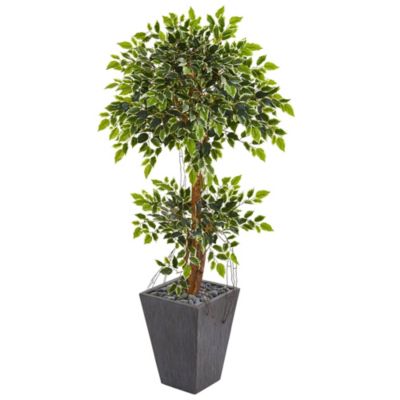 5-Foot Variegated Ficus Artificial Tree in Slate Planter