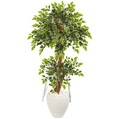 56-Inch Variegated Ficus Artificial Tree in White Planter