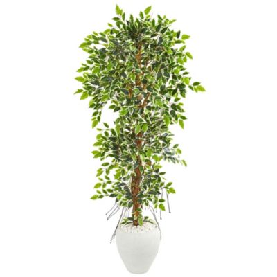 5.5-Foot Elegant Ficus Artificial Tree in White Planter