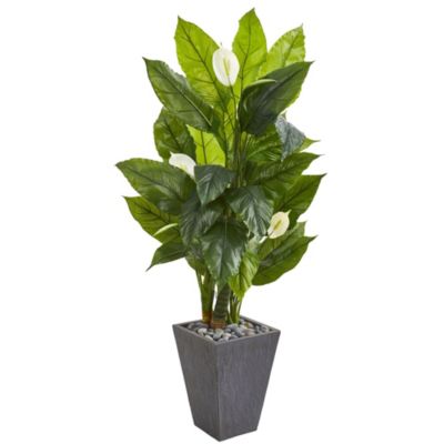 63-Inch Spathiphyllum Artificial Plant in Slate Planter (Real Touch)