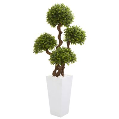 55-Inch Four Ball Boxwood Artificial Topiary Tree in Tall White Planter