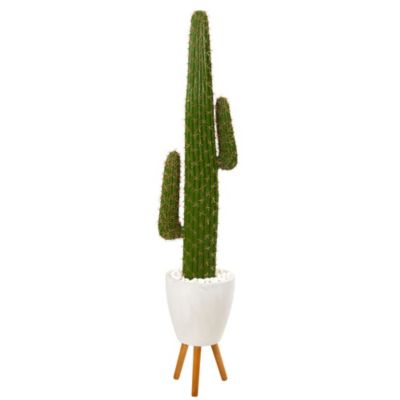 5.5-Foot Cactus Artificial Plant in White Planter with Stand