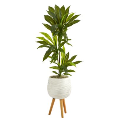 46-Inch Dracaena Artificial Plant in White Planter with Stand (Real Touch)