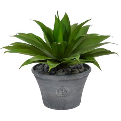 22-Inch Agave Succulent Artificial Plant in Gray Planter