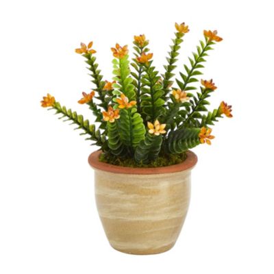 10-Inch Flowering Sedum Succulent Artificial Plant in Ceramic Planter