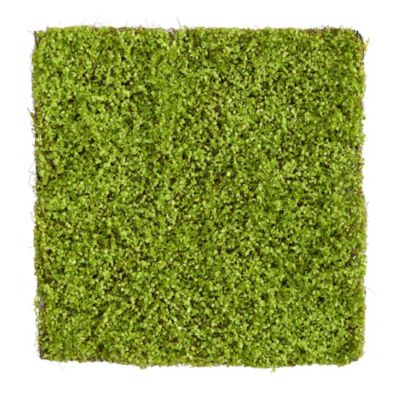 20-Inch X 20-Inch Duckweed Artificial Wall Mat