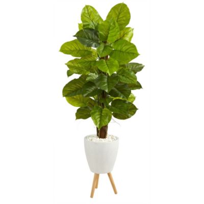 60-Inch Large Leaf Philodendron Artificial Plant in White Planter with Stand (Real Touch)
