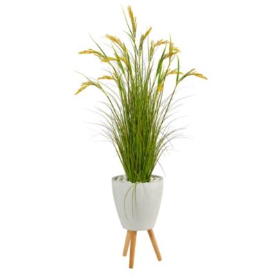 5-Inch Wheat Grain Artificial Plant in White Planter with Legs