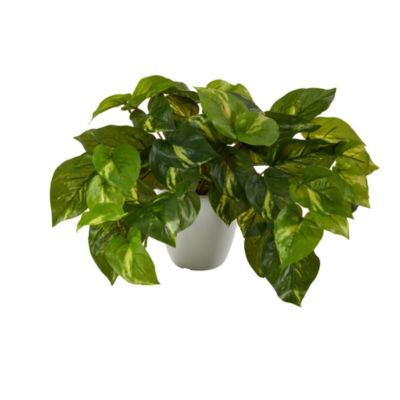 9-Inch Pothos Artificial Plant in White Planter (Real Touch)