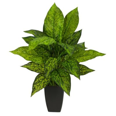 21-Inch Dieffenbachia Artificial Plant in Black Planter