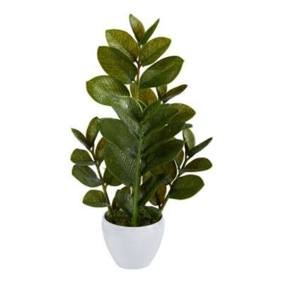 22-Inch Zamioculcas Artificial Plant in White Planter