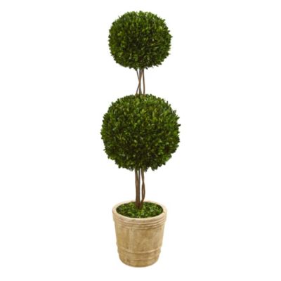 4-Foot Preserved Boxwood Double Ball Topiary Tree in Planter