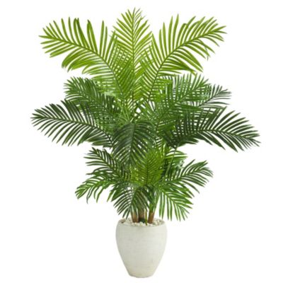 62-Inch Hawaii Palm Artificial Tree in White Planter