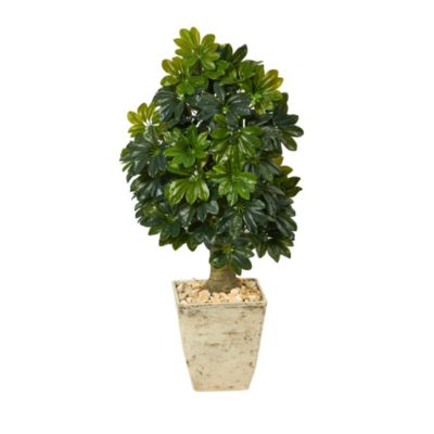 3.5-Foot Schefflera Artificial Tree in Country White Planter (Real Touch)