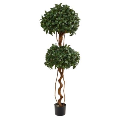 5-Foot Sweet Bay Double Ball Topiary Artificial Tree