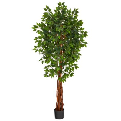 Foot Super Deluxe Ficus Artificial Tree with Natural Trunk