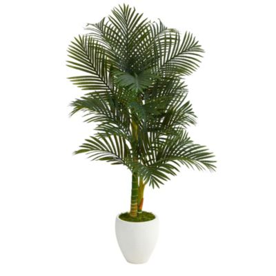 5-Foot Paradise Palm Artificial Tree in White Planter