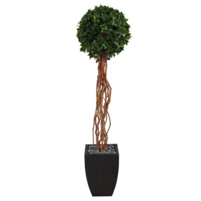 64-Inch English Ivy Single Ball Artificial Topiary Tree in Black Planter UV Resistant (Indoor/Outdoor)