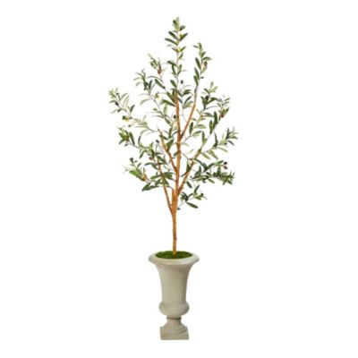 57-Inch Olive Artificial Tree in Sand Colored Urn
