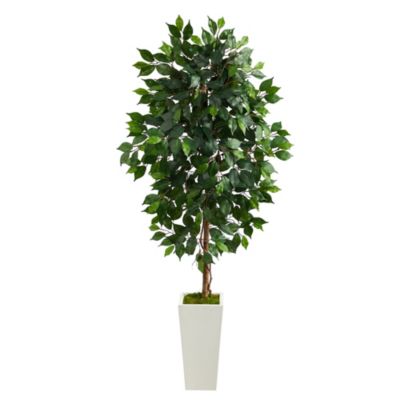 4.5-Foot Ficus Artificial Tree in White Planter