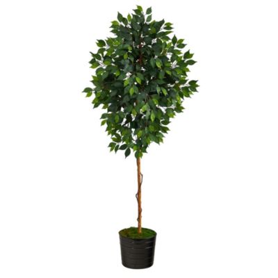 74-Inch Ficus Artificial tree in Black Tin Planter