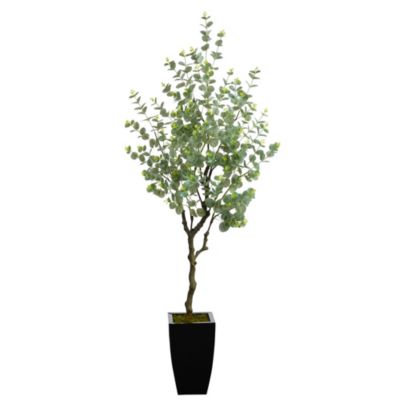 64-Inch Eucalyptus Artificial Tree in Black Metal Planter