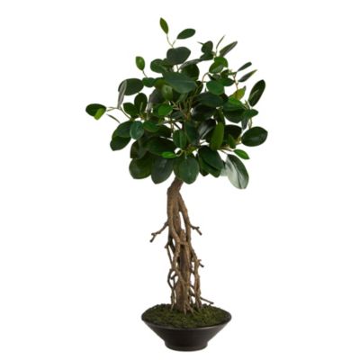 2-Foot Ficus Bonsai Artificial Tree in Decorative Planter