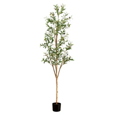 6ft. Artificial Olive Tree with Natural Trunk