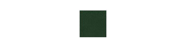 Team Colors