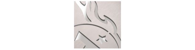 Stainless Steel
