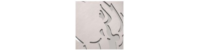 Stainless Steel