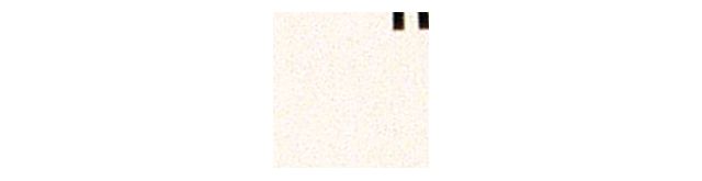 No Color
