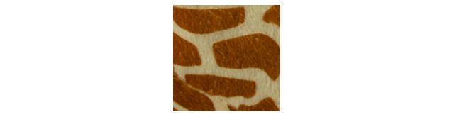Medium Brown