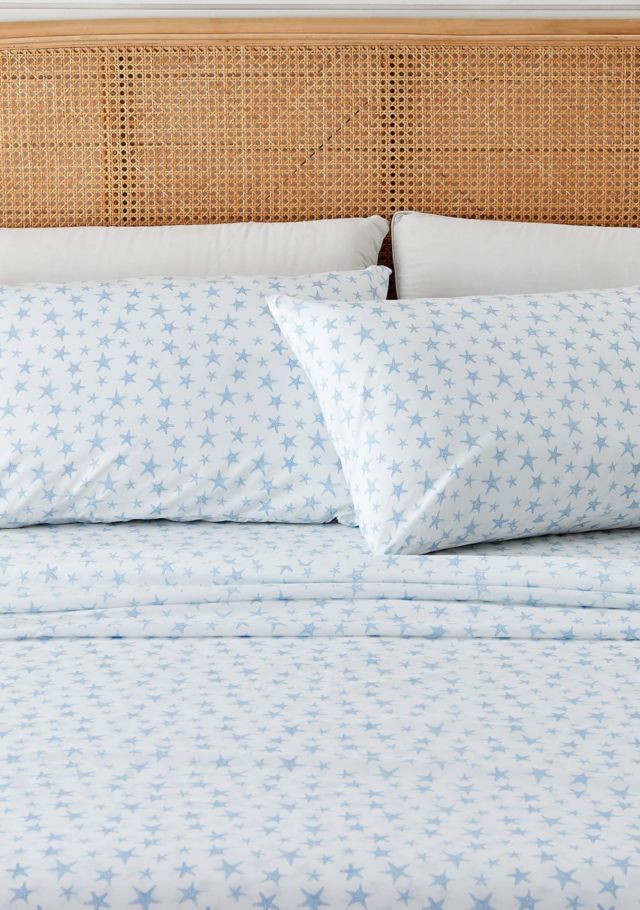 Starfish - Blue