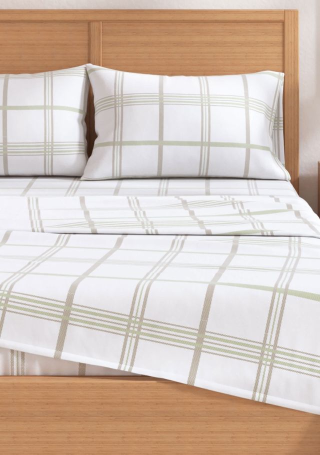 Windowpane - Olive