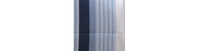 Blue Group