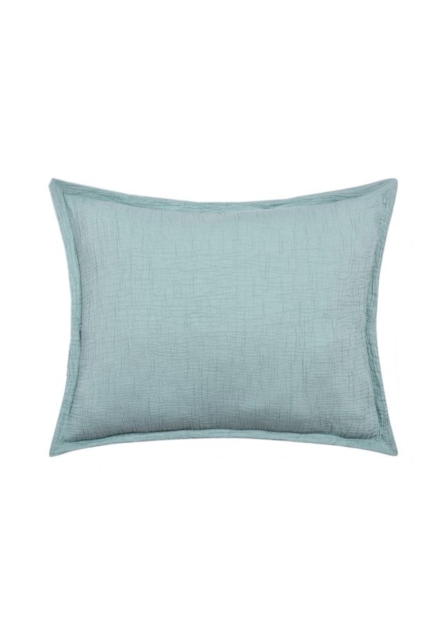 Aqua