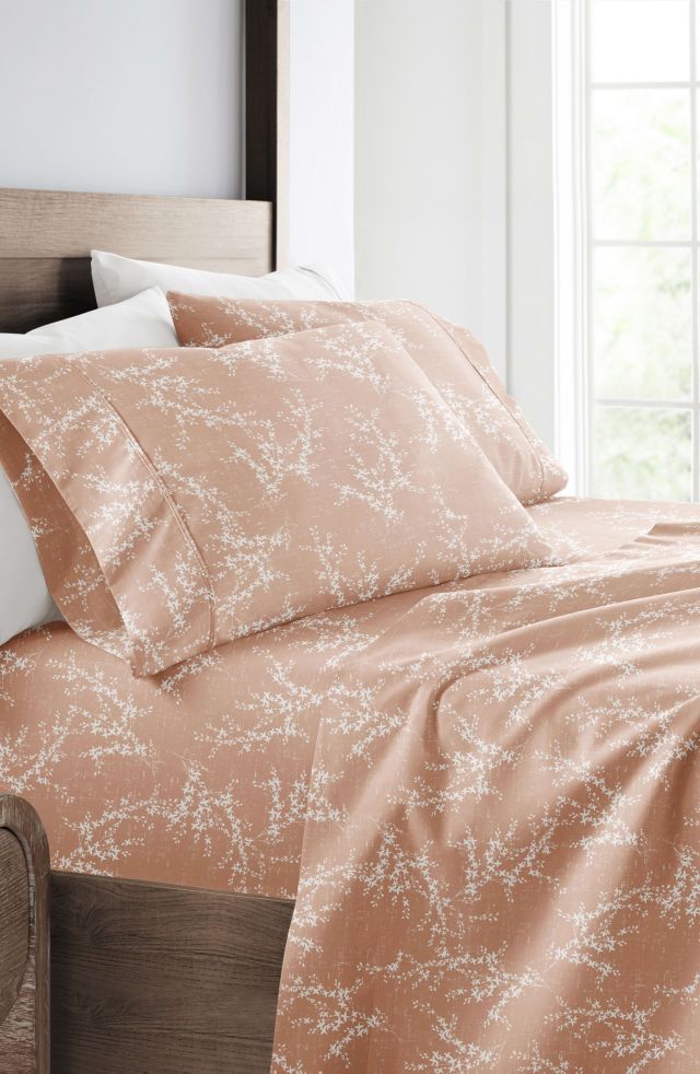 Apricot