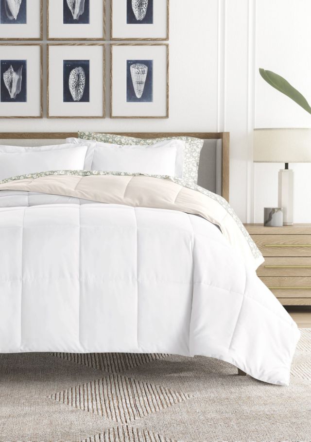 White / Ivory